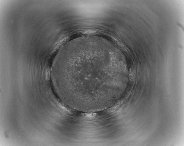 X0000095540474200712281548