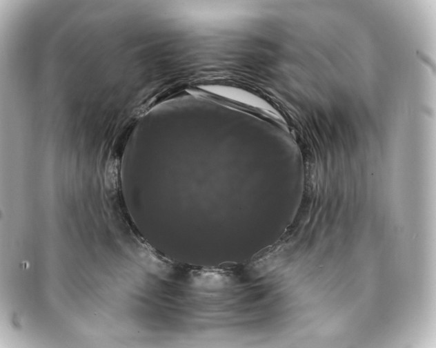 X0000095540475200712281548