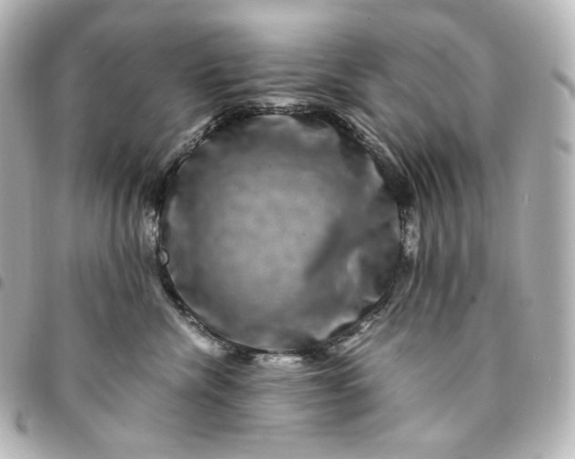 X0000095540476200712281548