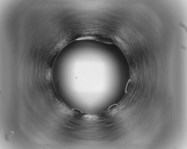 X0000095540477200712281548