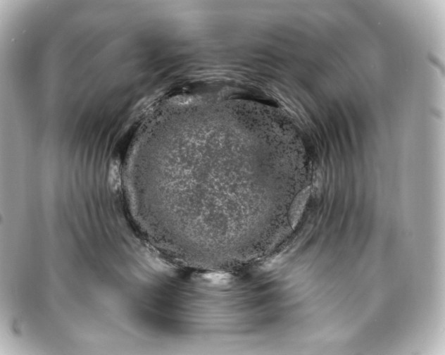 X0000095540478200712281548