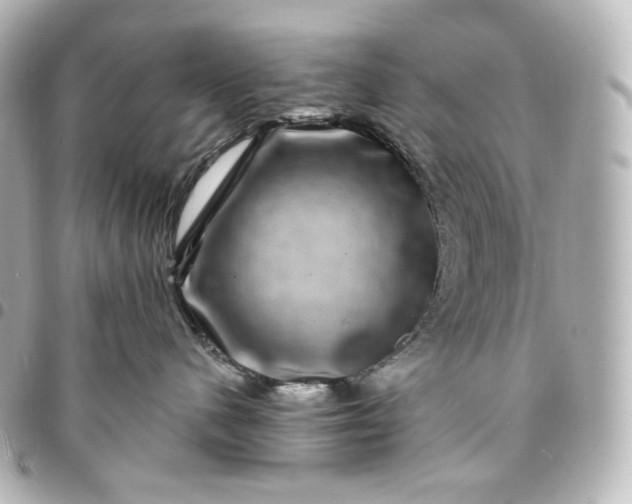 X0000095540480200712281548