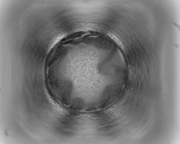 X0000095540482200712281547