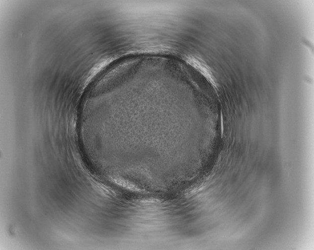 X0000095540483200712281547