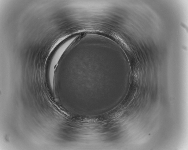 X0000095540484200712281547