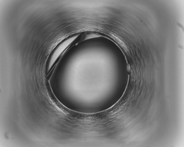 X0000095540485200712281547