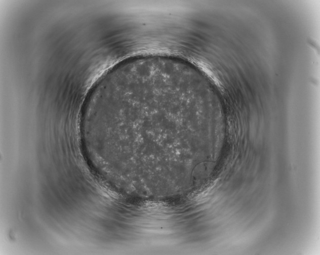 X0000095540487200712281547