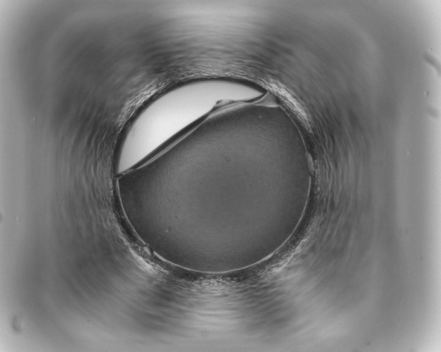 X0000095540489200712281547