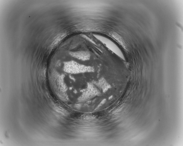 X0000095540491200712281547