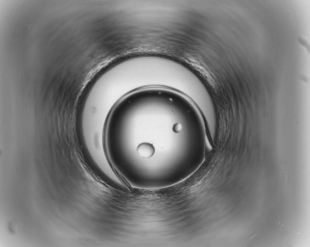 X0000095540492200712281547