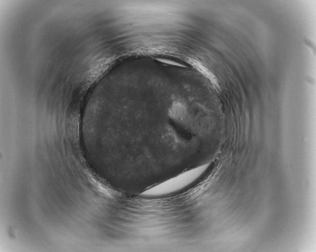 X0000095540493200712281547