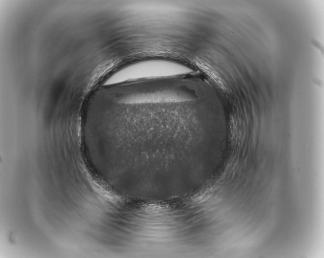 X0000095540494200712281547