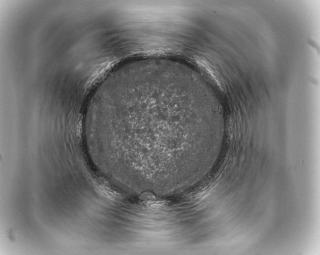 X0000095540495200712281547