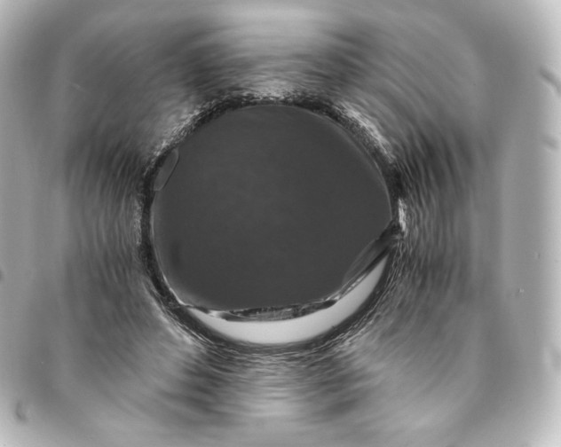 X0000095540496200712281547