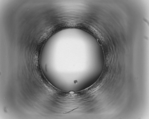 X0000095540497200712281547