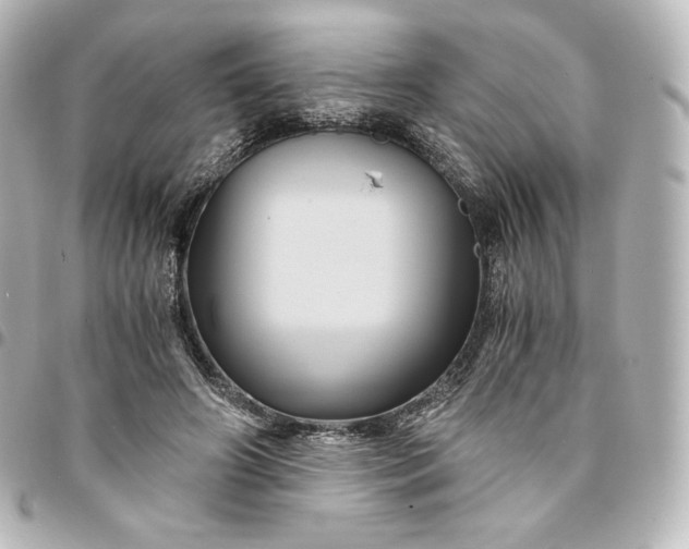 X0000095540498200712281547