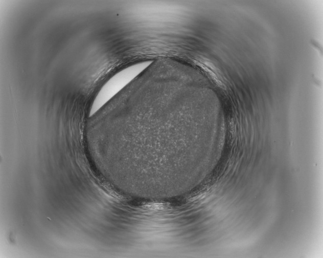 X0000095540499200712281547