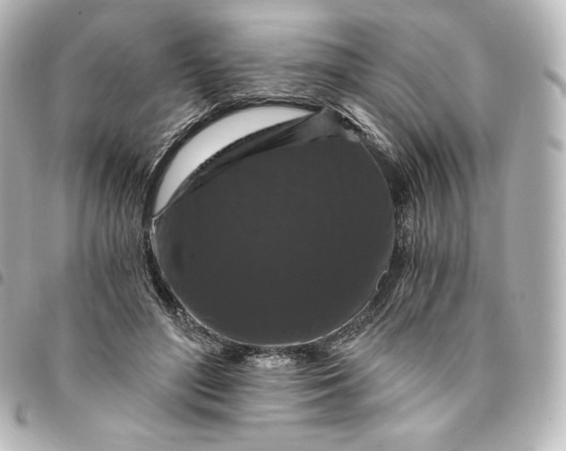 X0000095540500200712281547