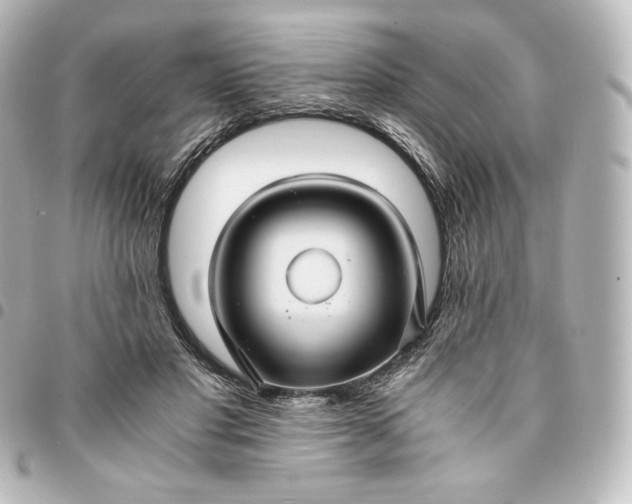 X0000095540501200712281547