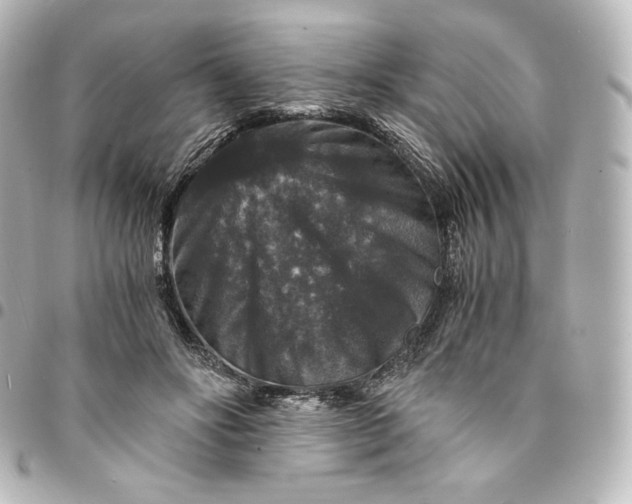 X0000095540502200712281547