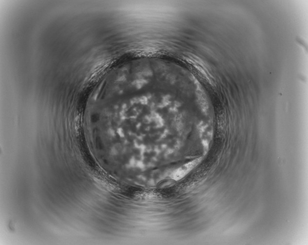 X0000095540503200712281547