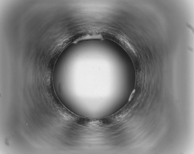 X0000095540505200712281547