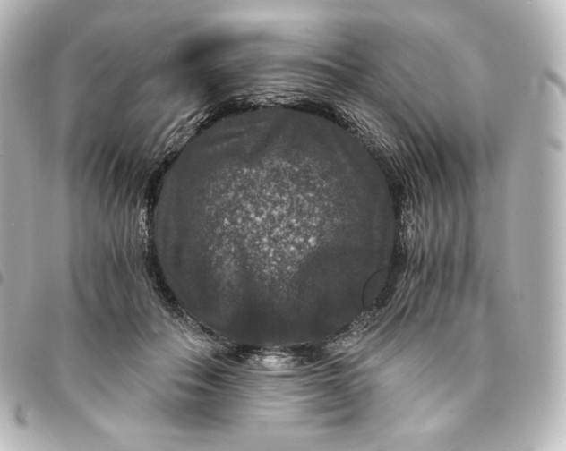 X0000095540506200712281547