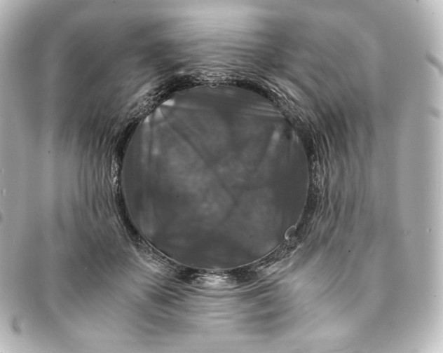 X0000095540507200712281547