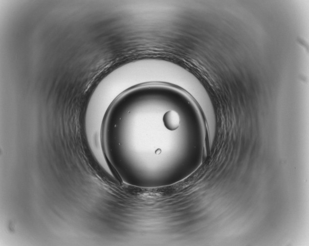 X0000095540508200712281547