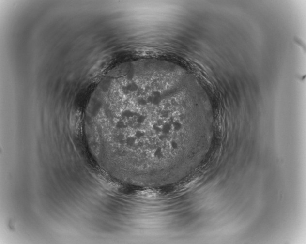 X0000095540511200712281547