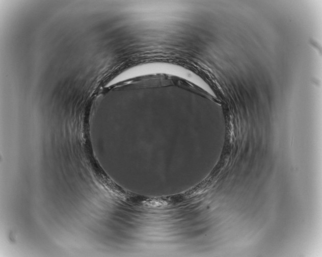 X0000095540512200712281547