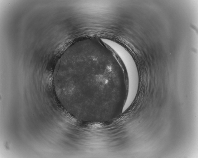 X0000095540513200712281547