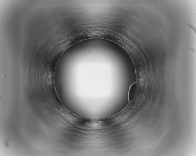 X0000095540514200712281547