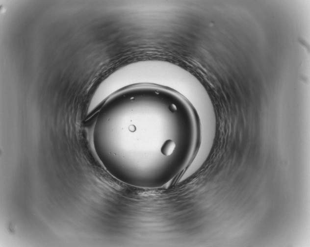 X0000095540516200712281547