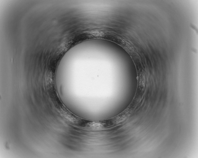 X0000095540518200712281547