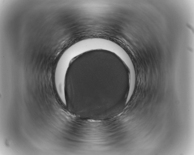 X0000095540520200712281547