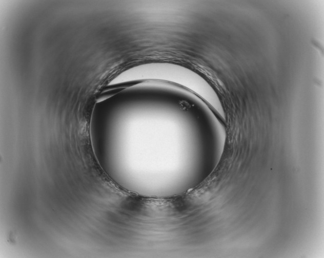 X0000095540521200712281547