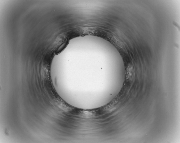 X0000095540522200712281547