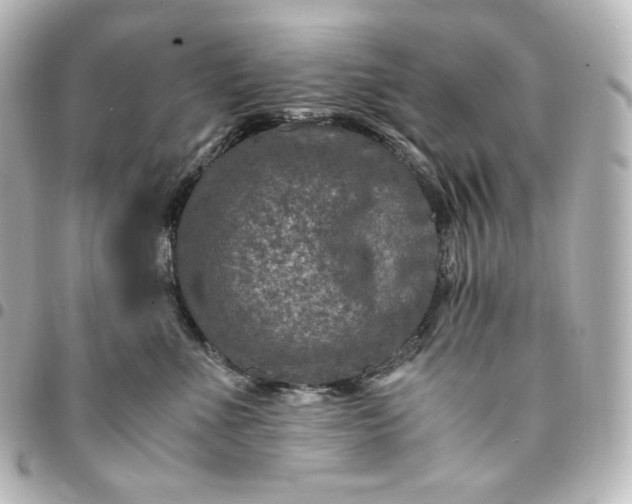 X0000095540523200712281547