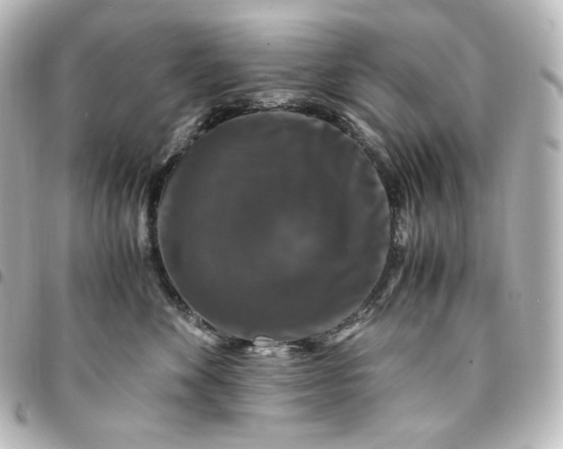 X0000095540524200712281547