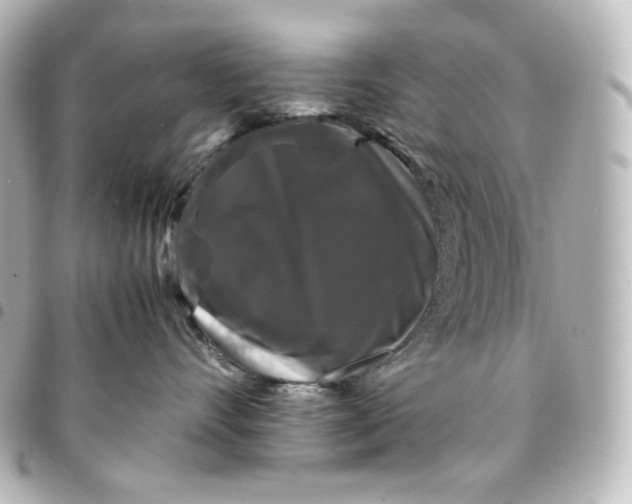 X0000095540528200712281547