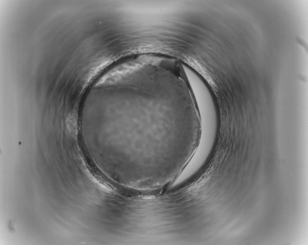 X0000095540530200712281546