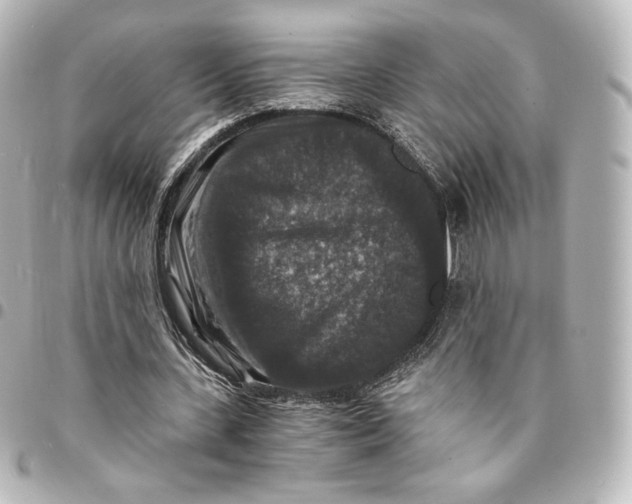 X0000095540531200712281546