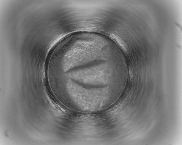 X0000095540532200712281546