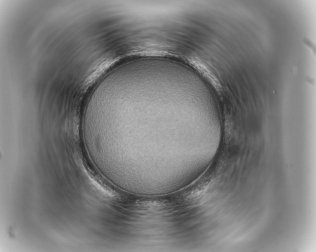 X0000095540533200712281546