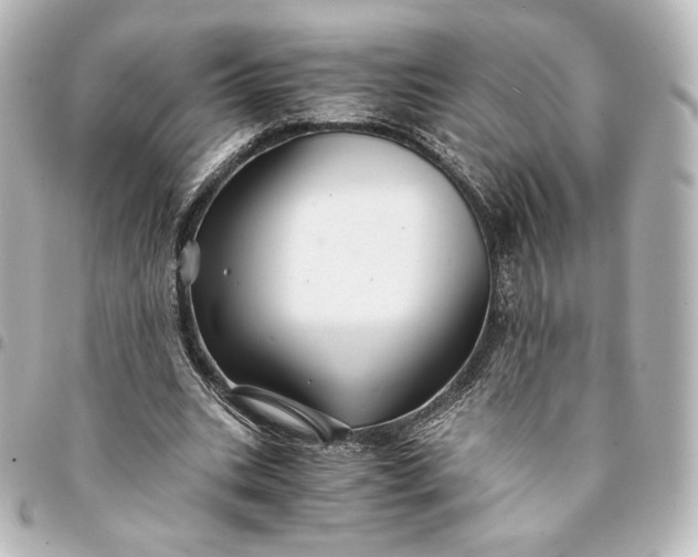 X0000095540535200712281546