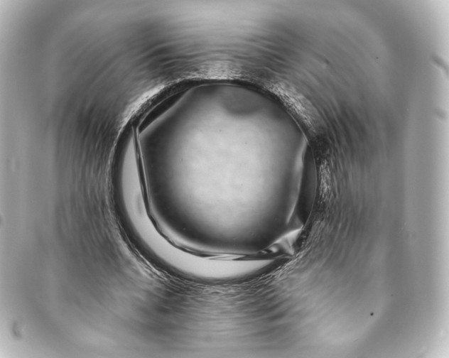 X0000095540536200712281546