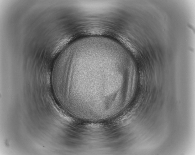 X0000095540537200712281546