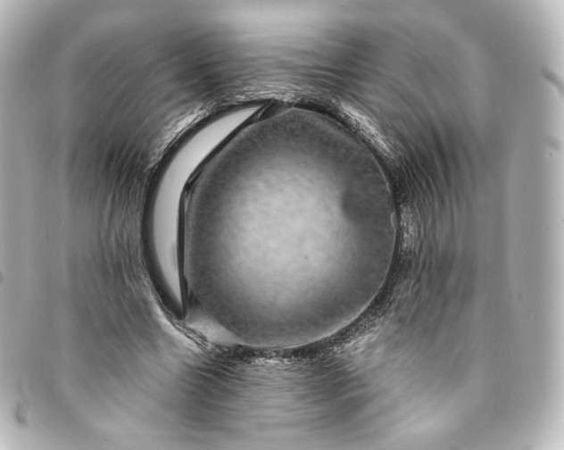 X0000095540538200712281546