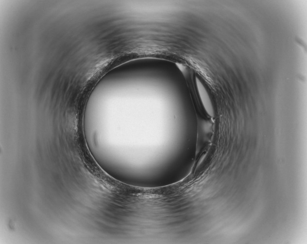 X0000095540539200712281546